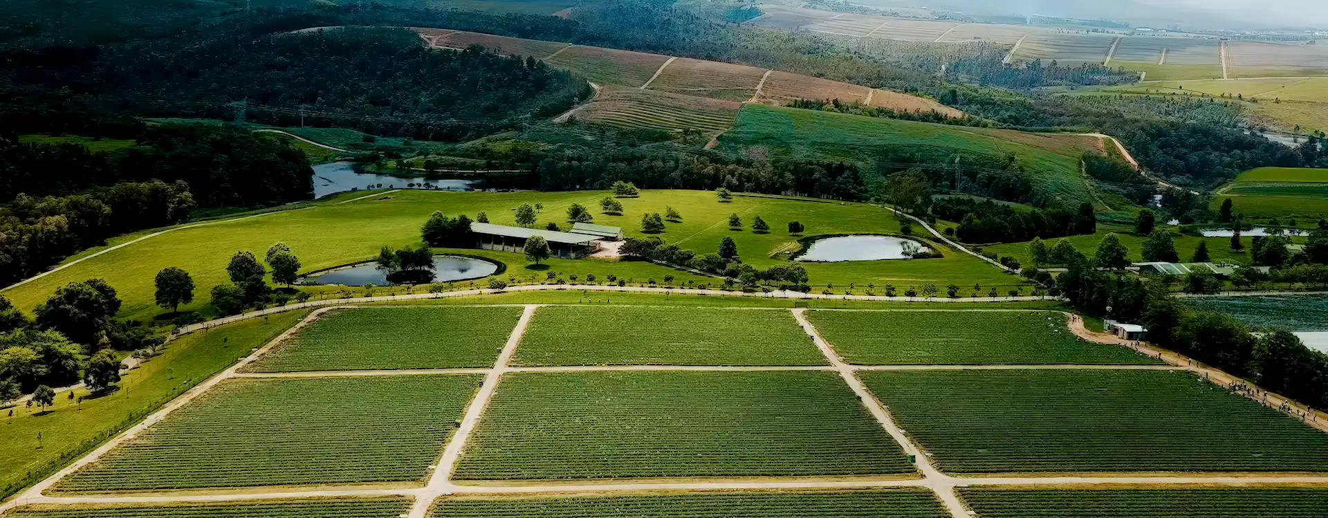 Ontdek sukses in die Landbou Industrie deur Bemarking | 083 461 3090