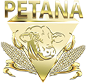 Petana