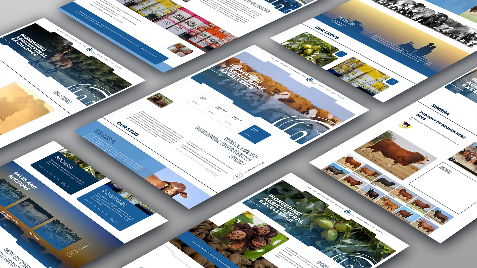 Webblad Ontwerp vir Malemba Boerdery | LandbouLens